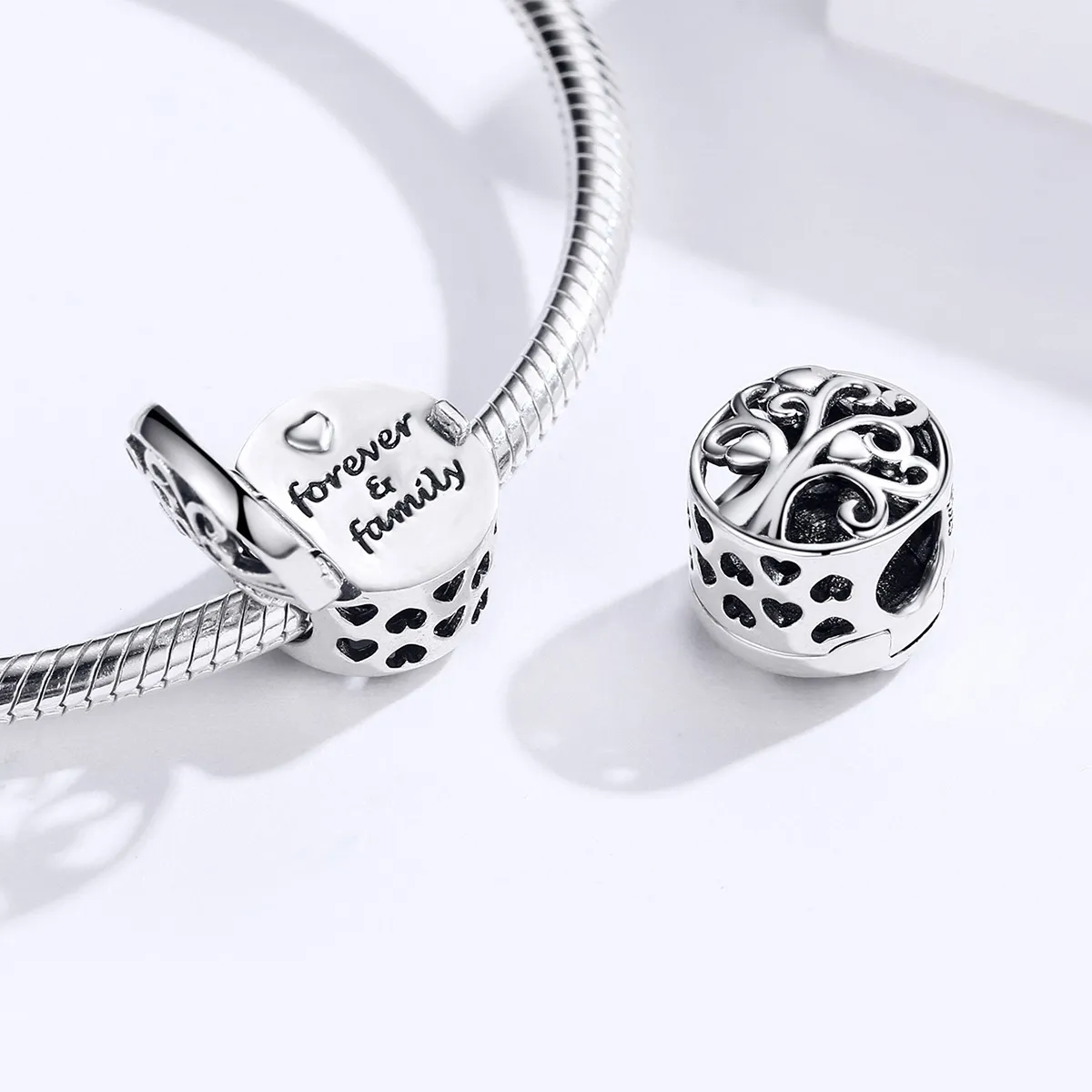 Pandora Style Silver Forever & Family Charm - SCC1259
