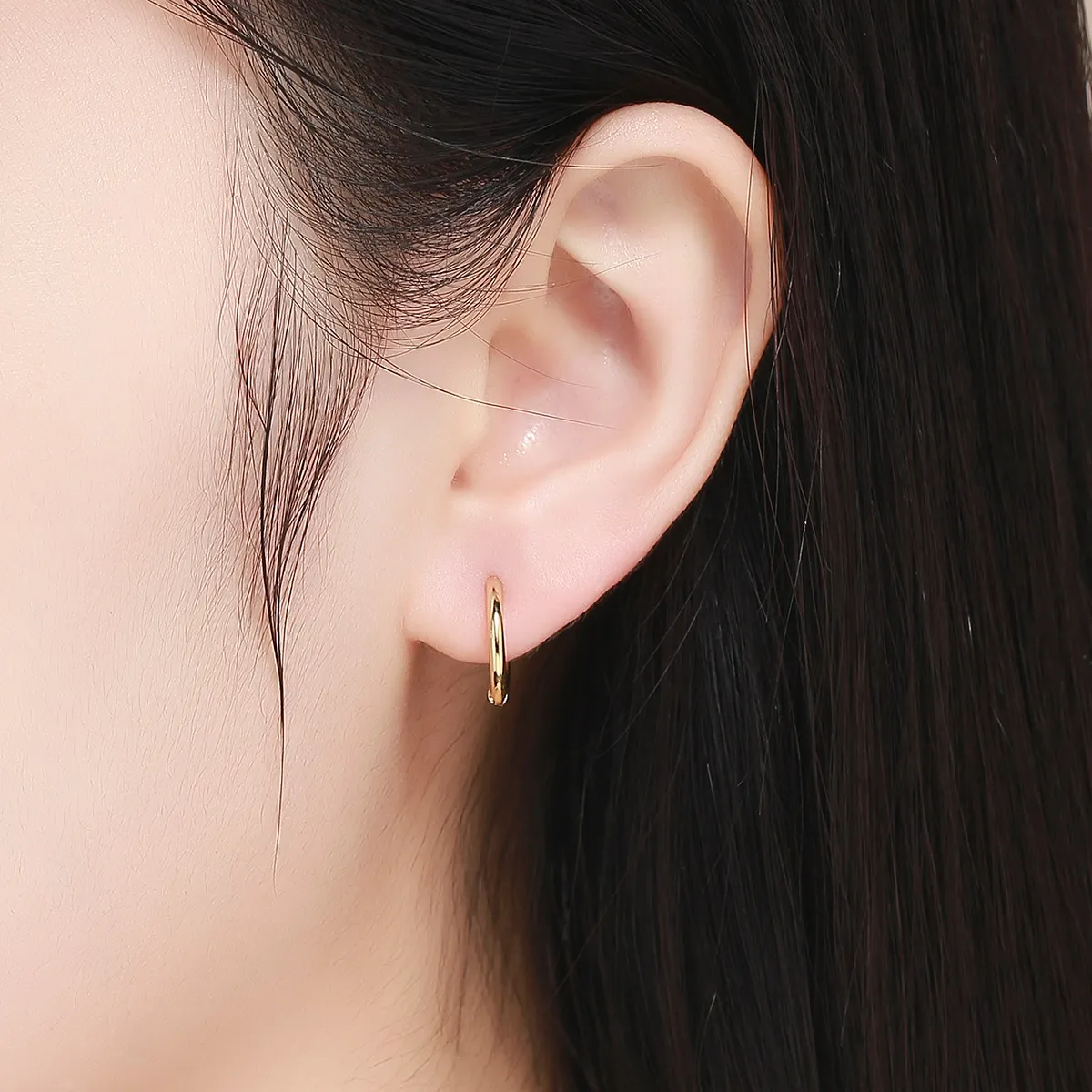 Pandora Style Gold-Plated Hoop Earrings - SCE558